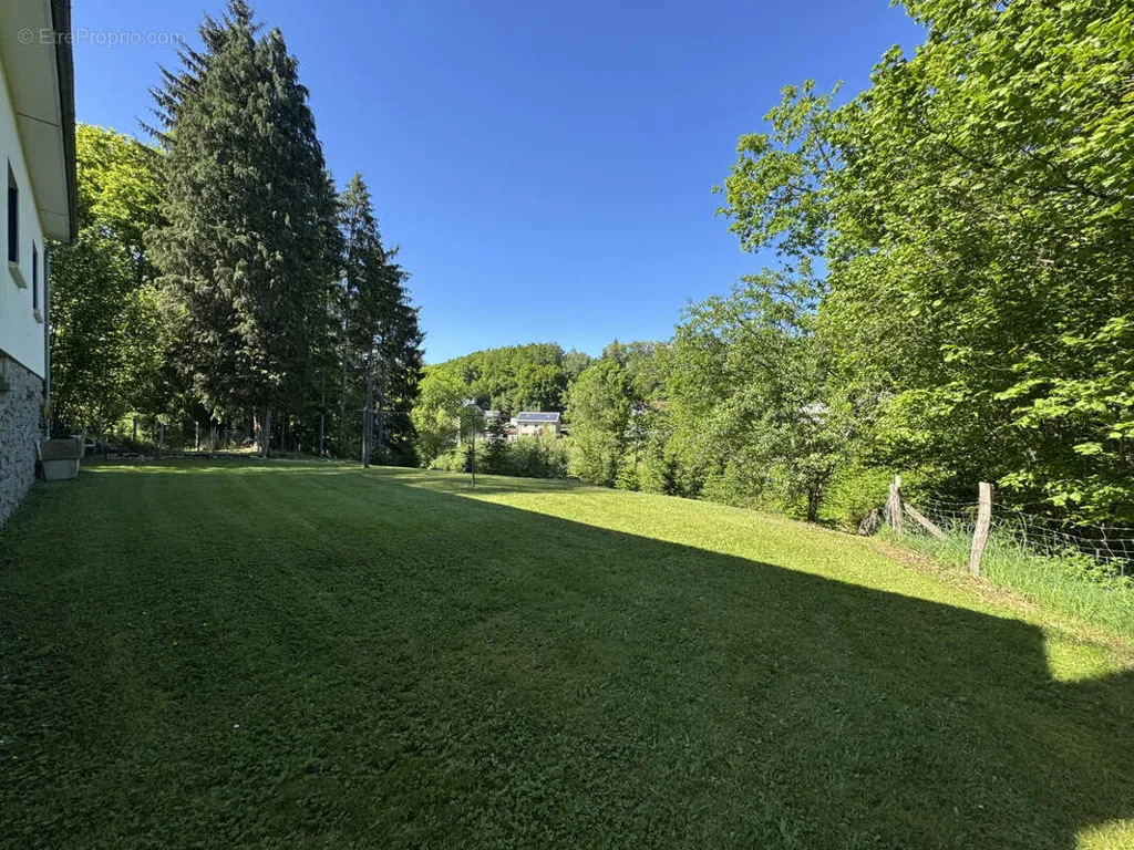 Jardin - Maison avec Jardin et Sous-Sol à Ussel