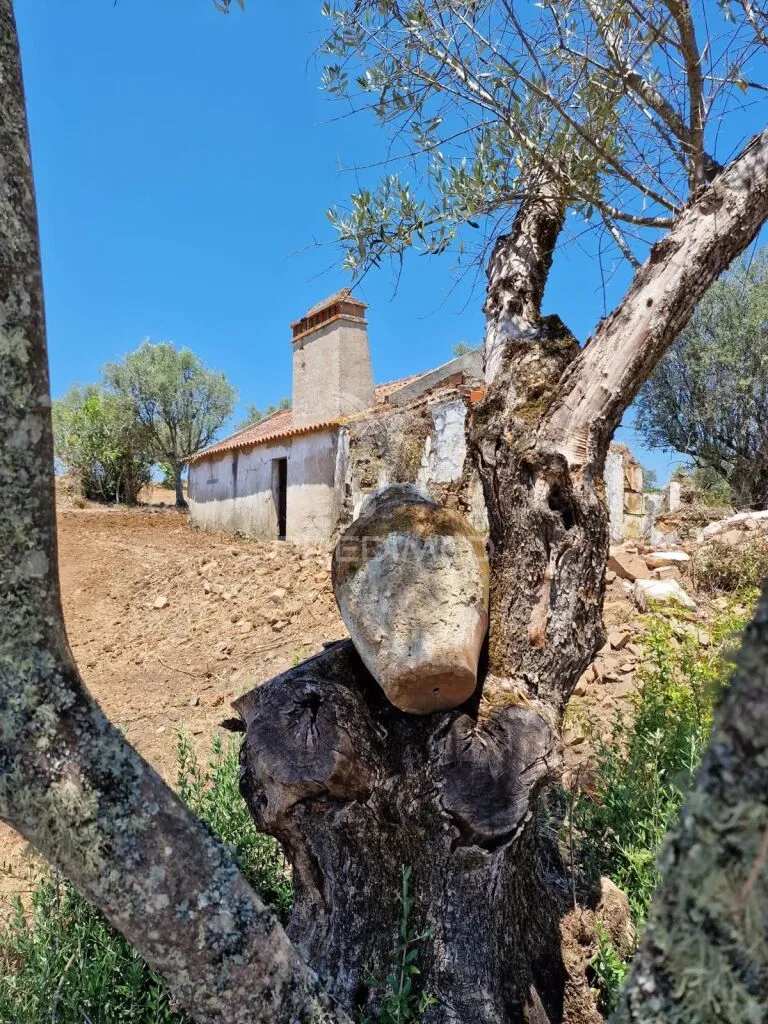 Extérieur - Alentejo Farmhouse with Potential in Montargil