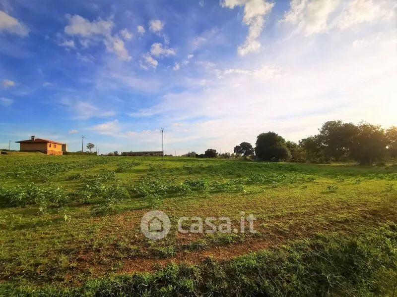 Jardin - Rustic Casale with 3 Hectares in Viterbo