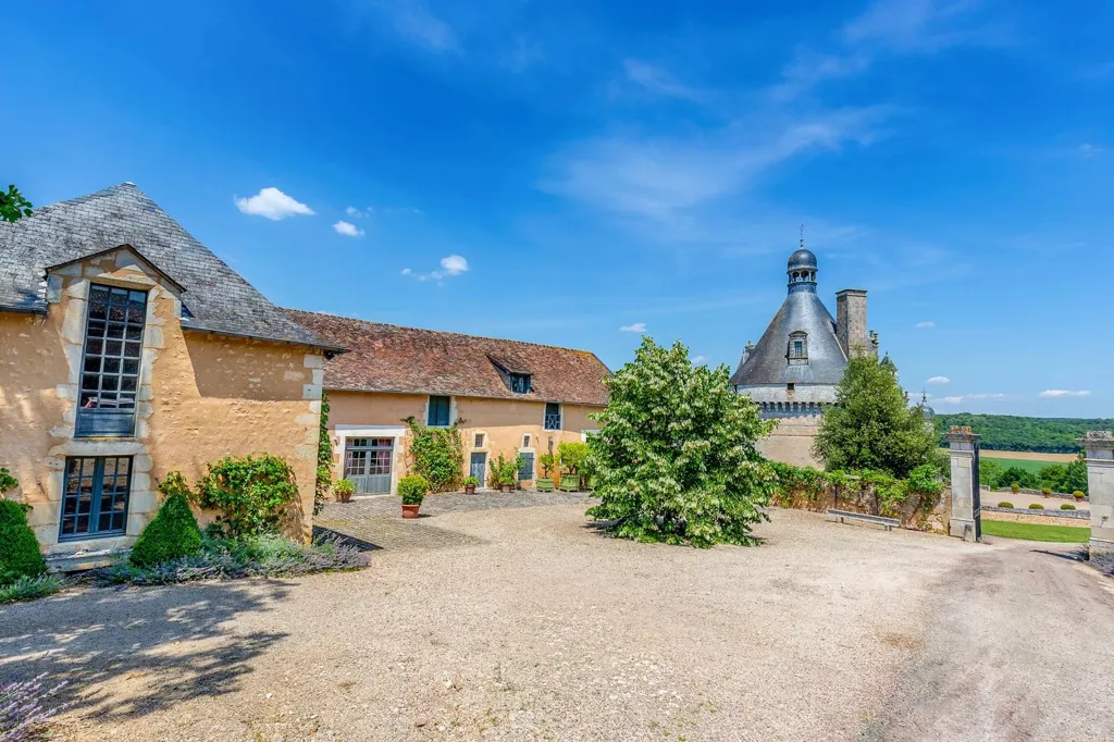 Aed - Medieval Château with River View near Poitiers