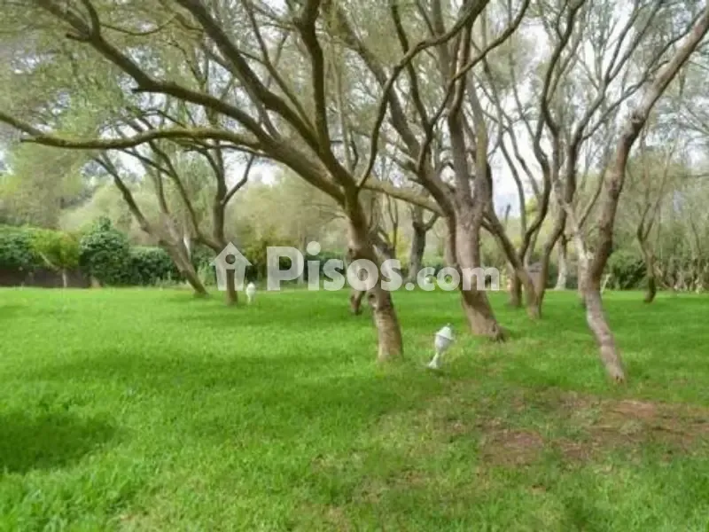 Aed - Rustic Finca with Pool in Algaida