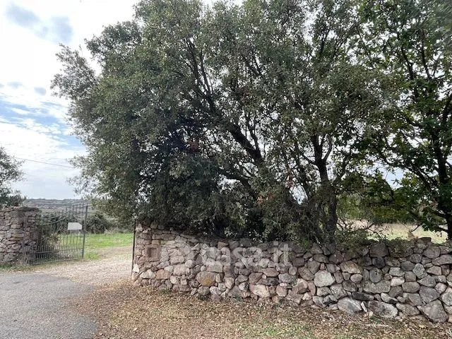 Jardin - Agritourism Property with Pool in Tresnuraghes