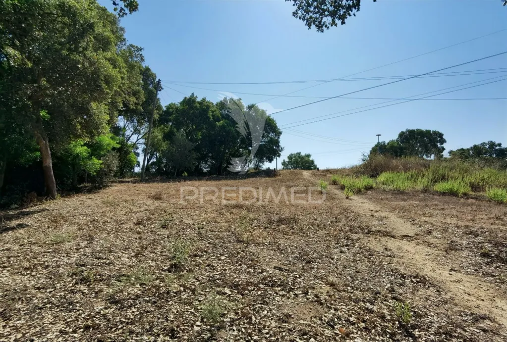 Aed - Approved Luxury Home Project in Santarém