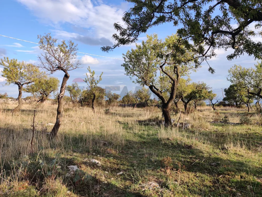 Jardin - 10,200 sqm Plot in Contrada San Salvatore