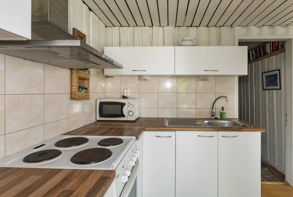 Cuisine - Cottage with Private Lakefront in Iso-Ruokopuoli