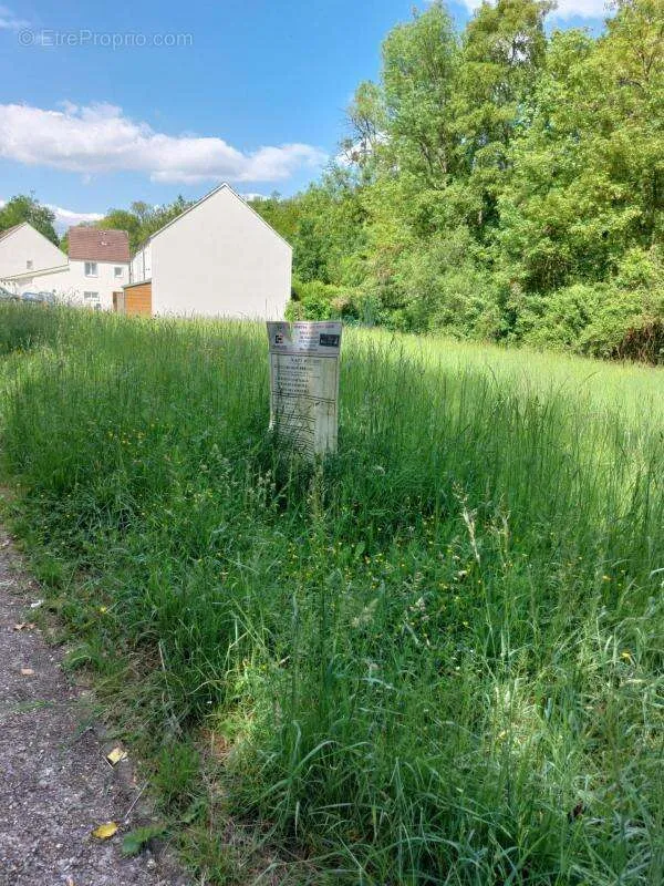 Aed - Buildable Land with River View in Donnemarie-Dontilly