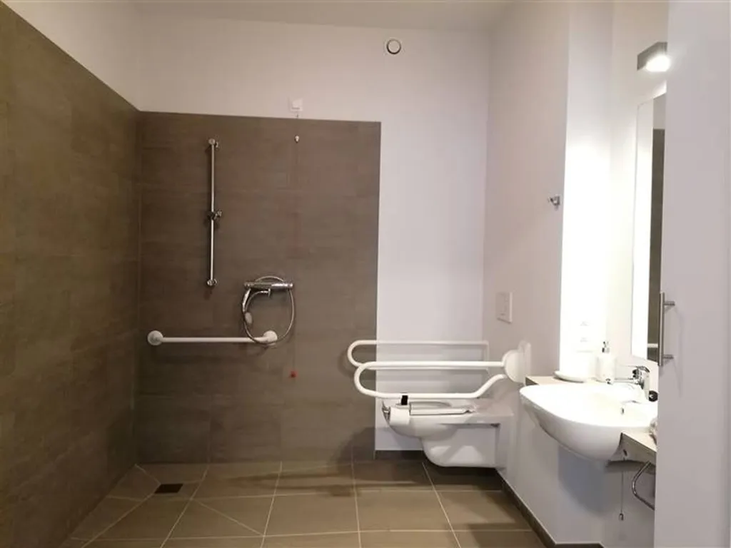 Vannitoad - Service Flat with Terrace in Borgloon