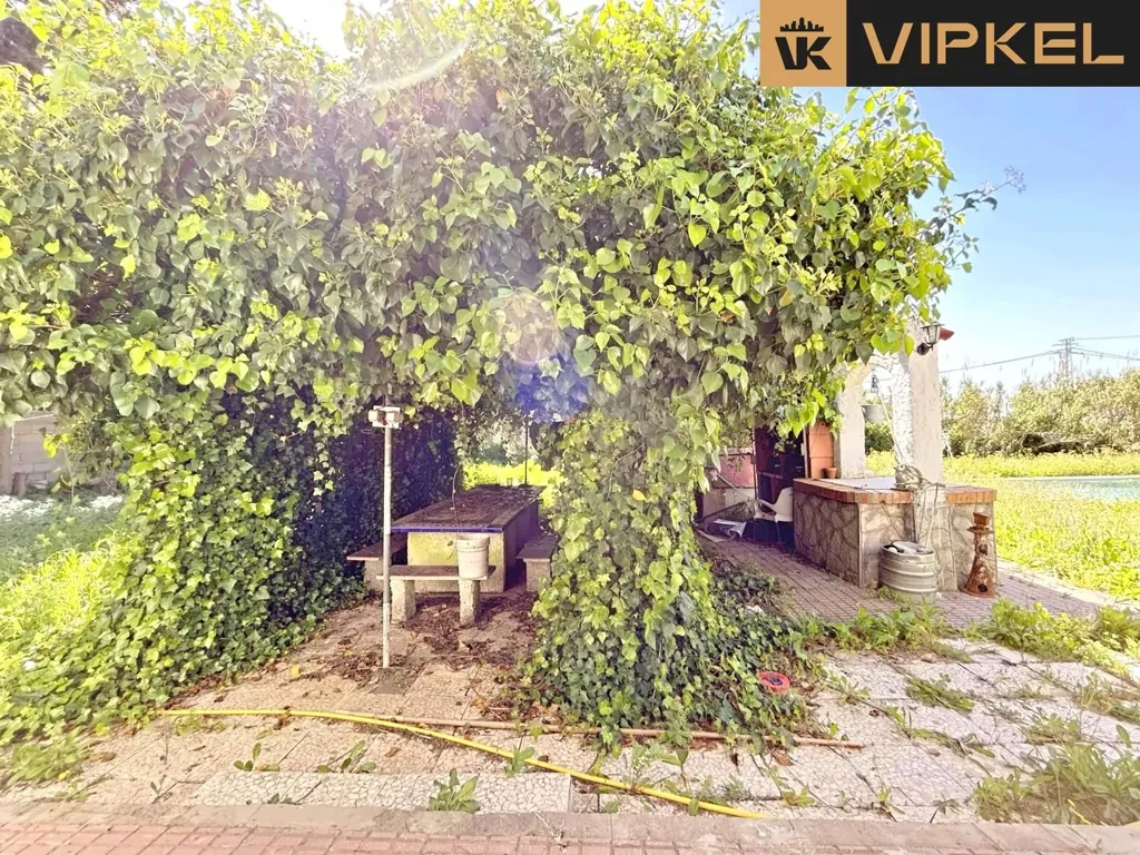 Jardin - Chalet with Pool in Roche, Conil de la Frontera