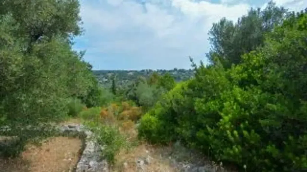 Aed - Traditional Home with Olive Trees in Ostuni