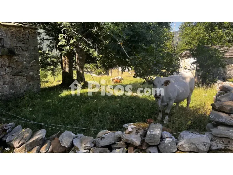 Giardino - Traditional Cabin with Mountain Views in La Sia
