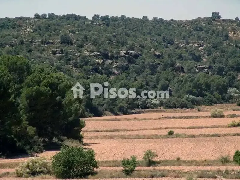 Aed - Rustic Hunting Estate in Alcañiz