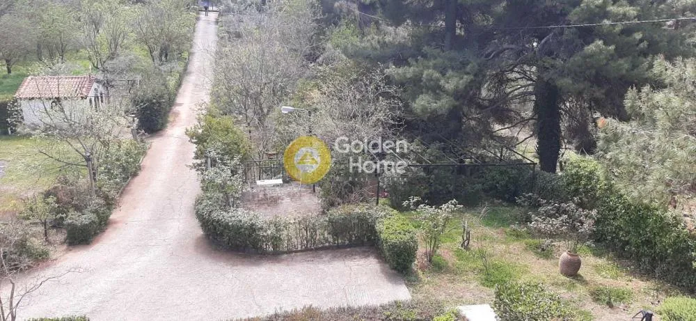 10-room house in GR
