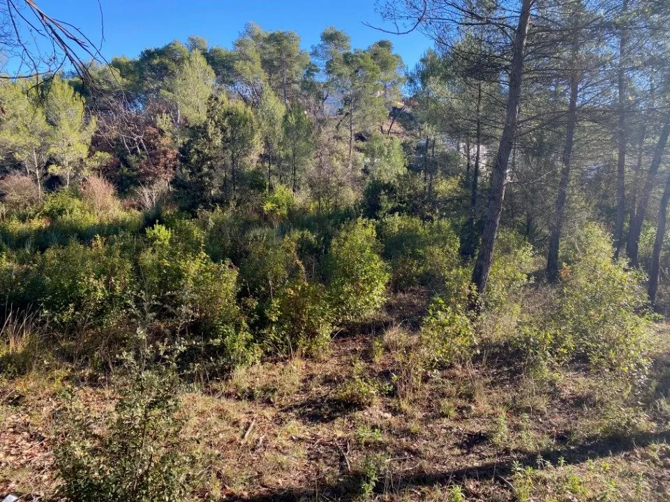 Jardin - Maison à Construire avec Jardin à Brignoles