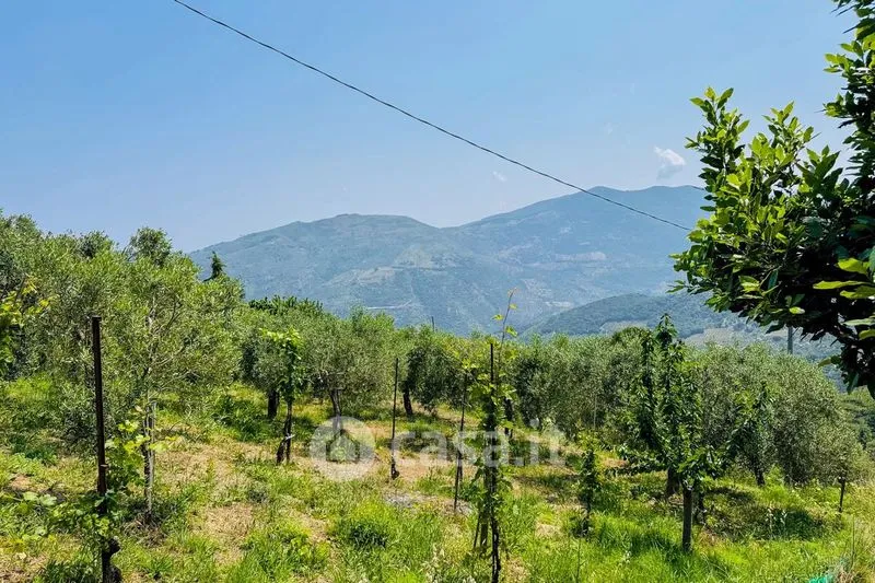 Jardin - Rustic Villa with Panoramic View in Mistretta