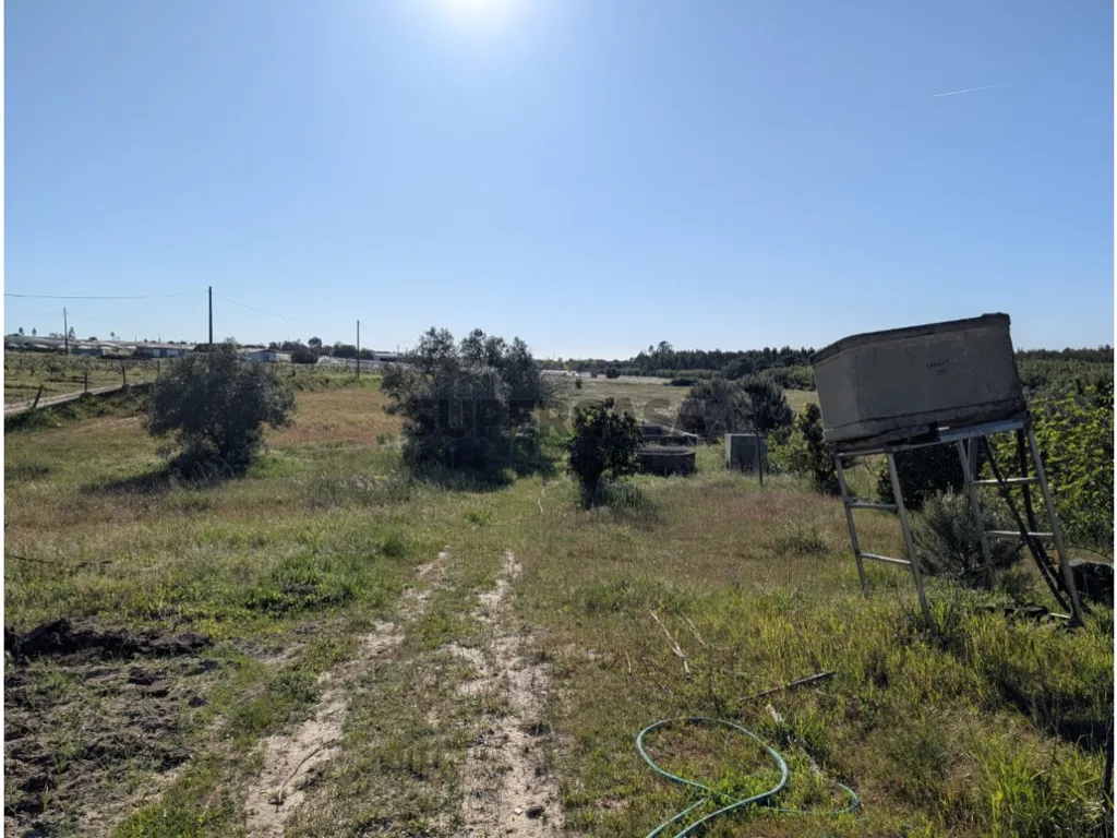 Jardin - Luxury House with Agricultural Land in Pegoes