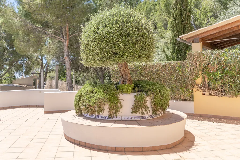 Terrass - 2 magamistoaga korter asukohas Calvia