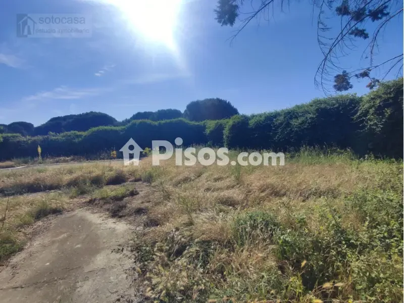 Giardino - Chalet with Pool in Traspinedo