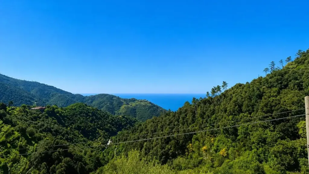 Appartamento with Panoramic Terrace in Vernazza