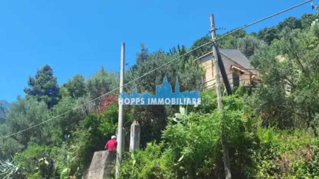 Giardino - Rustic Villa for Renovation in Monreale