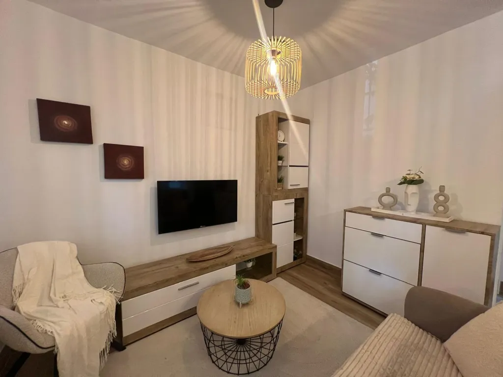 Séjour - Reformed Flat in Quiet Area, Pau 2