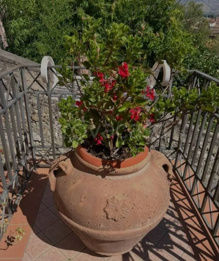 Terrasse - Rearranged Apartment with Garden in Itri