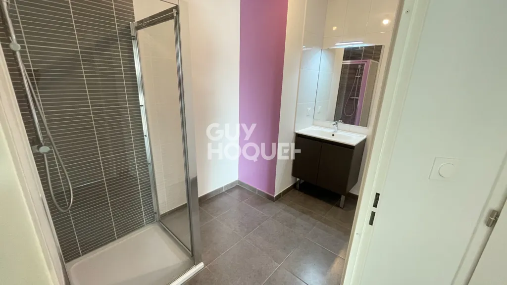 Vannitoad - Flat with Terrace in Perpignan