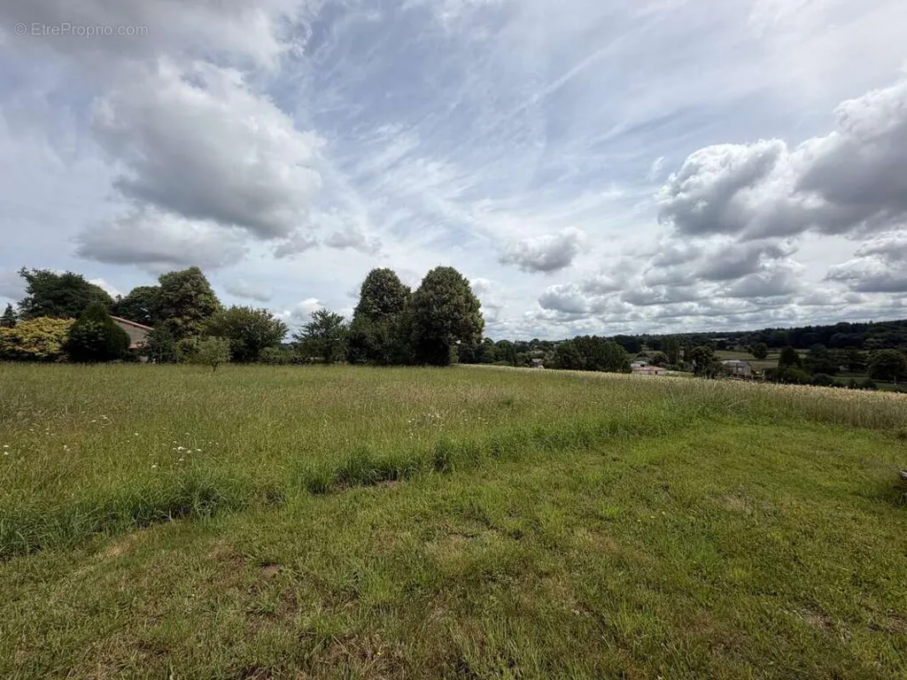 Jardin - Terrain Constructible à Linards, Proche de Châteauneuf-la-Forêt