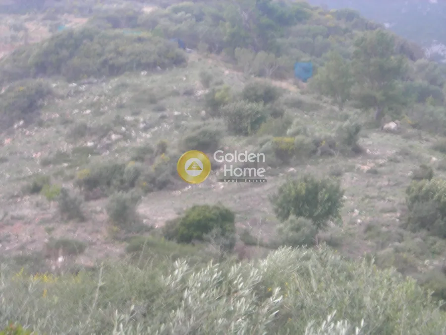 Aed - Agricultural Plot with Sea and Forest Views in Vasilikos