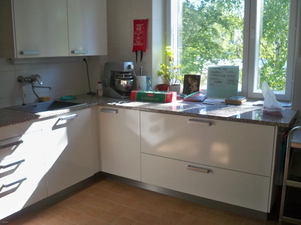 Cuisine - Student Room with Central Park Access in Helsinki