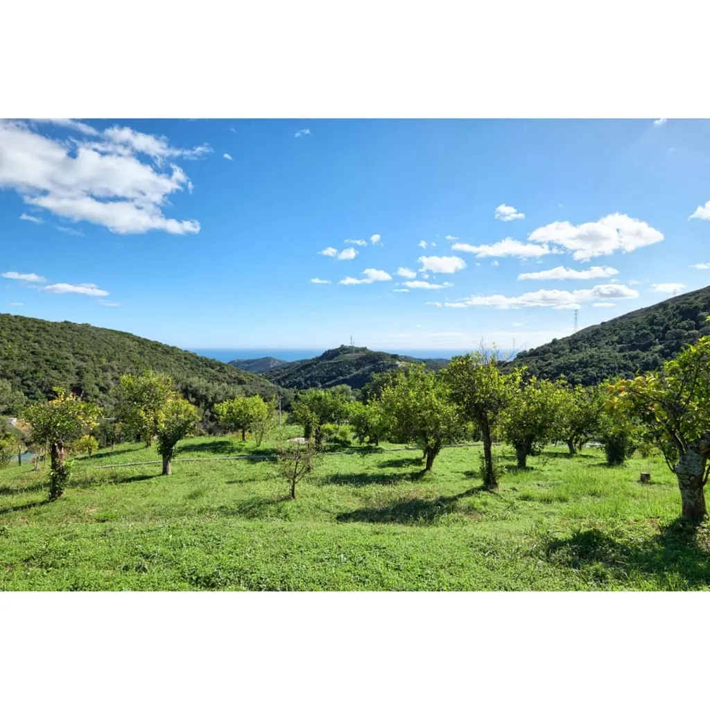 Garden - Villa with Private Pool near Estepona