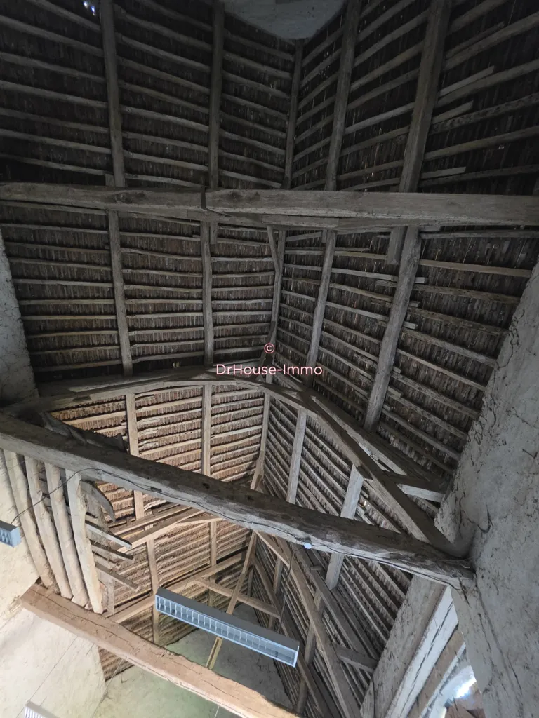 Toad - Country House with Equestrian Facilities in Ceton