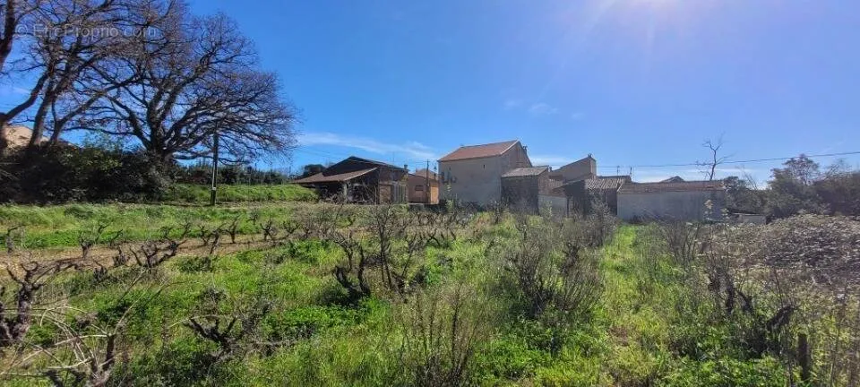 Jardin - Terrain Plat avec Jardin à Pierrefeu-Du-Var