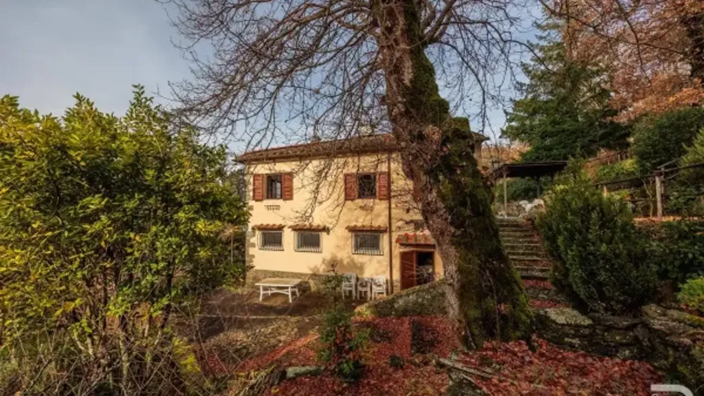 Extérieur - Rustic House with Olive Grove in Selvapiana