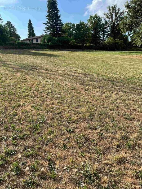 Garden - 2000 m² Plot in Gourdon