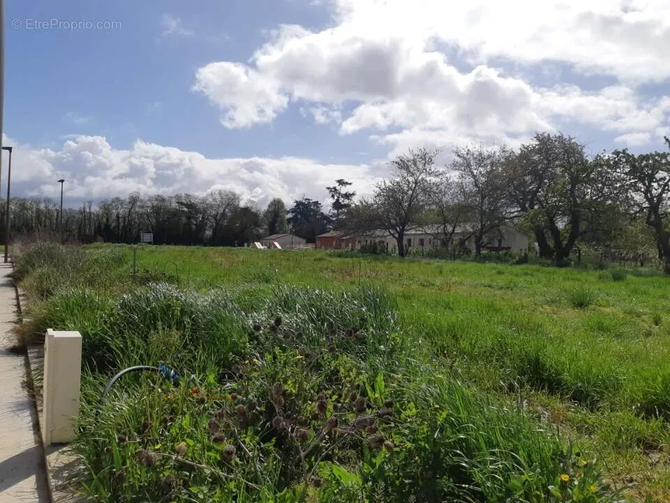 Aed - Buildable Plot with Garden near Dieupentale