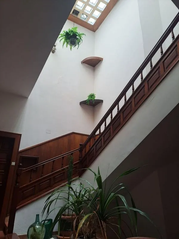 Toad - Apartment with Terrace in Arrecife Centre