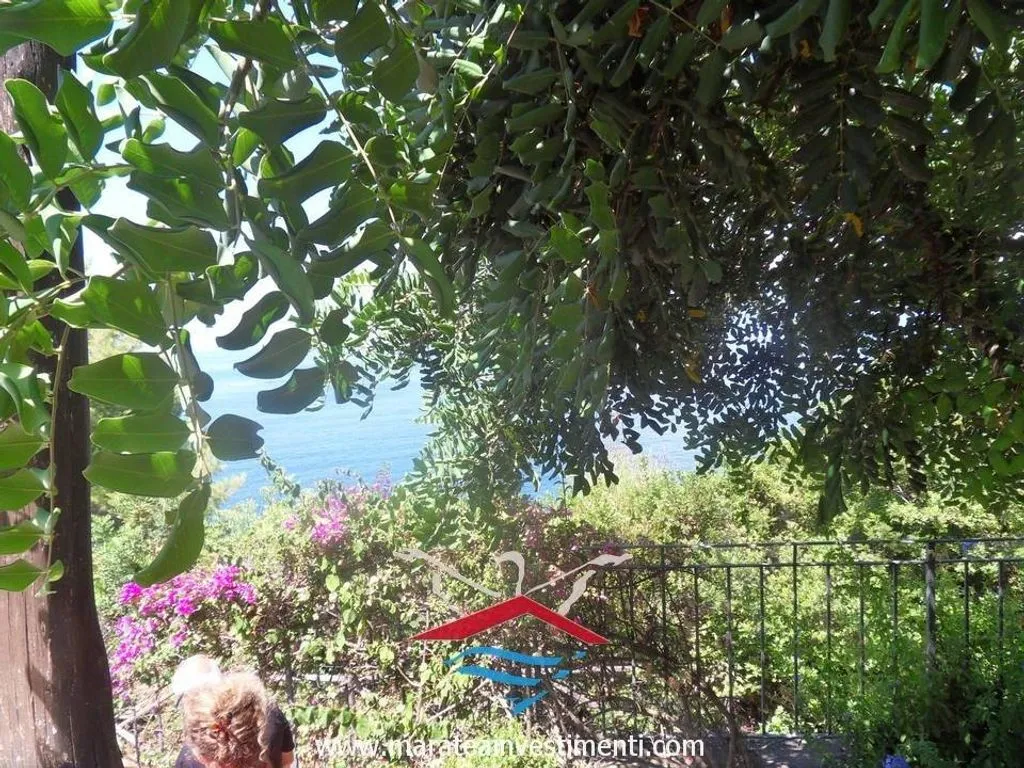 Garden - Villa with Seafront Access in Maratea