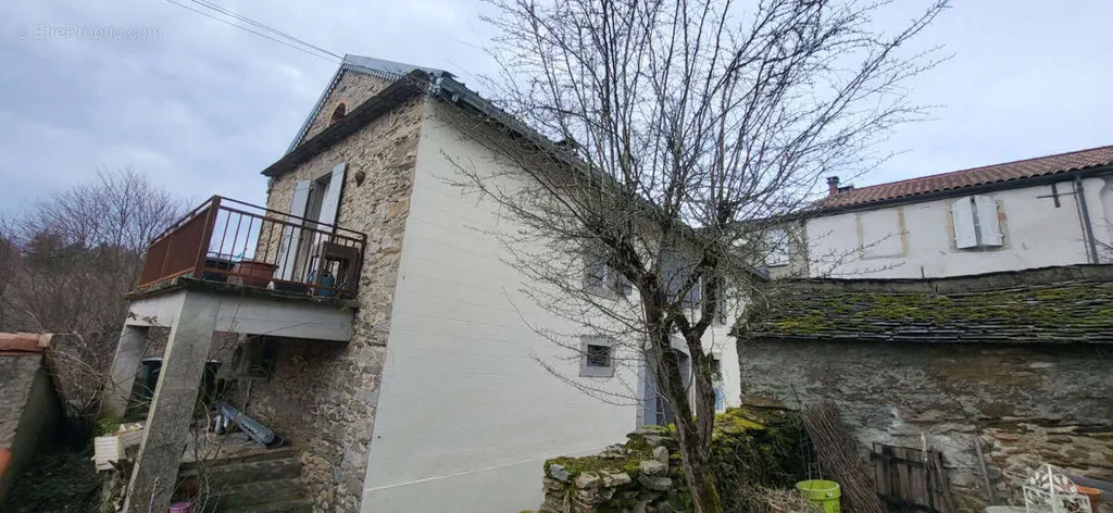 facade