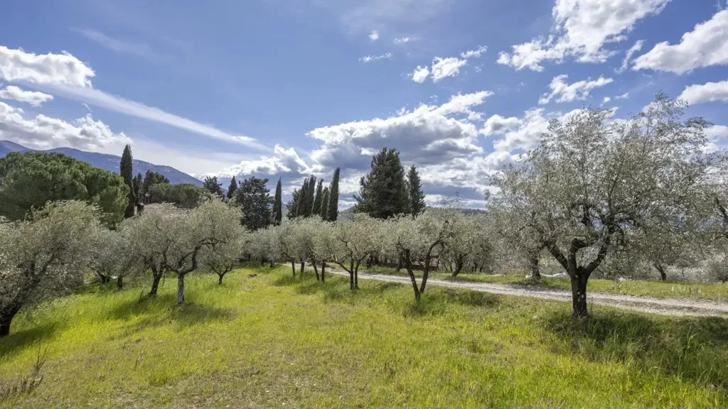 Jardin - Tuscan Cascina with Olive Grove in Pelago