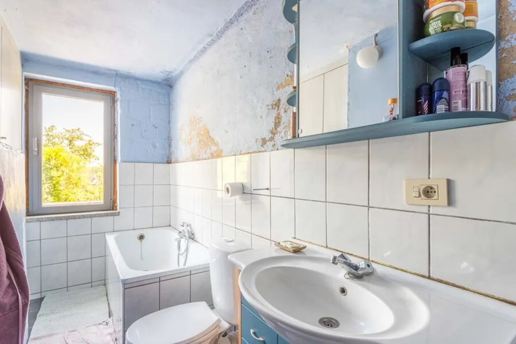 Vannitoad - Rural House with Garden in Aalbeke