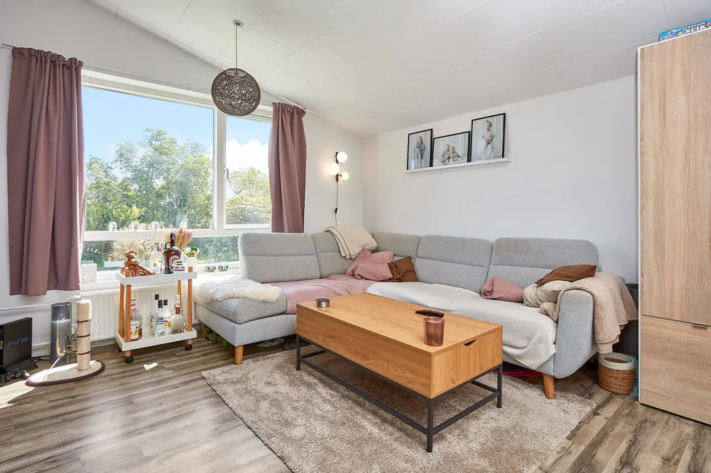 living_room