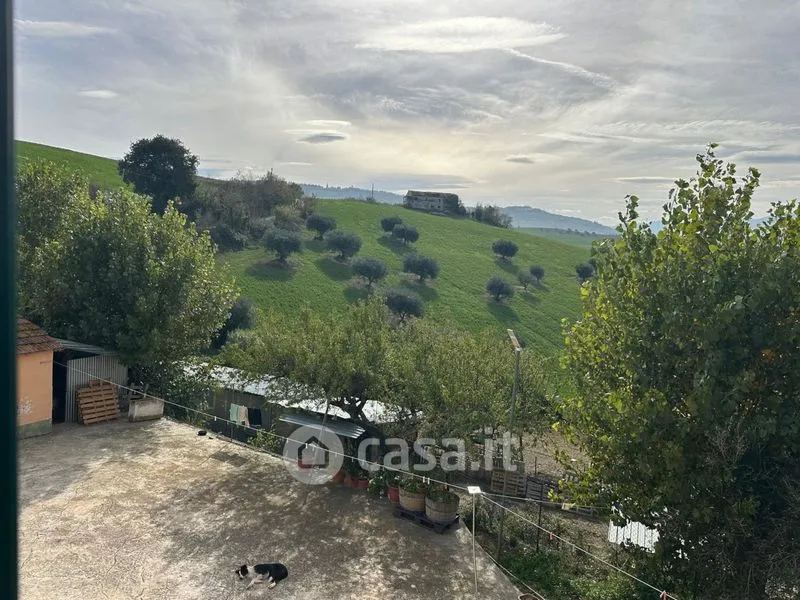 Terrasse - Operational Farmhouse with Olive Grove in Atri