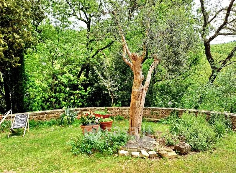 Jardin - Rustic Farmhouse with Olive Grove in Pontassieve
