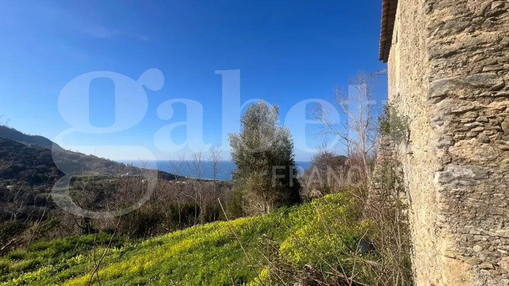 Giardino - Rustic Cielo-Terra in Falconara Albanese