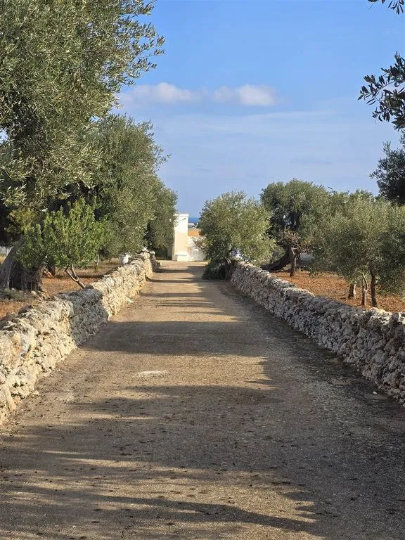 Välivaade - Apulian Masseria with Sea View in Monopoli