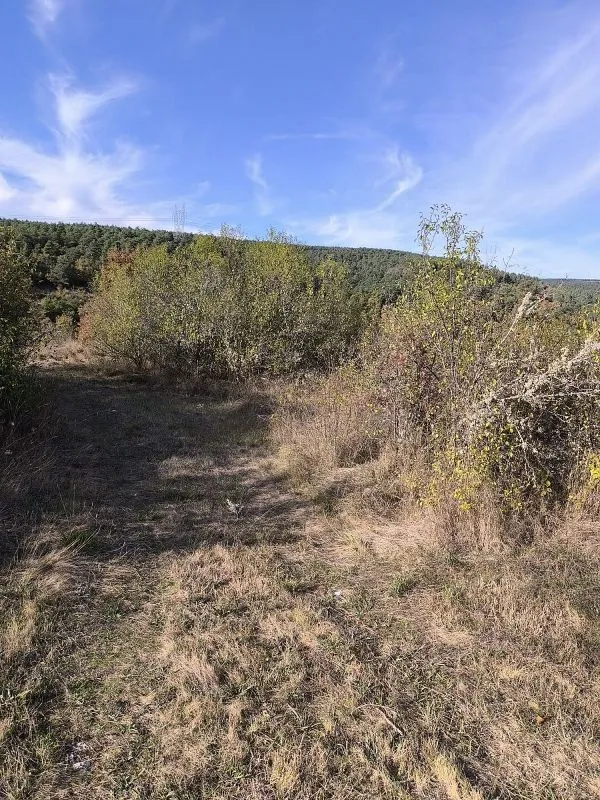 land_plot