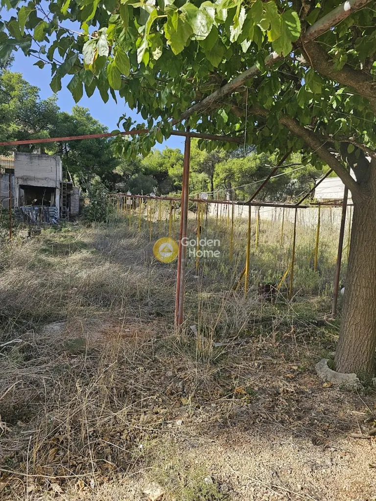Jardin - Plot with Construction Rights in Thriamvos, Athens