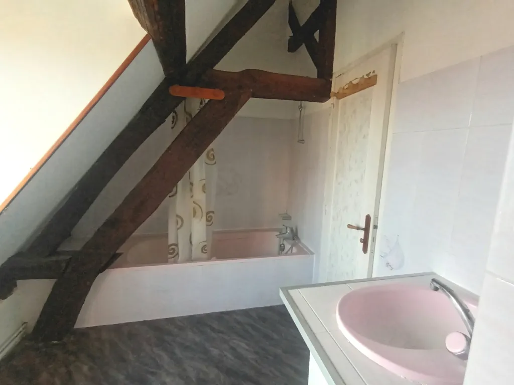 Salles de bain - Appartement Duplex avec Vue Dégagée au Centre d'Auxerre