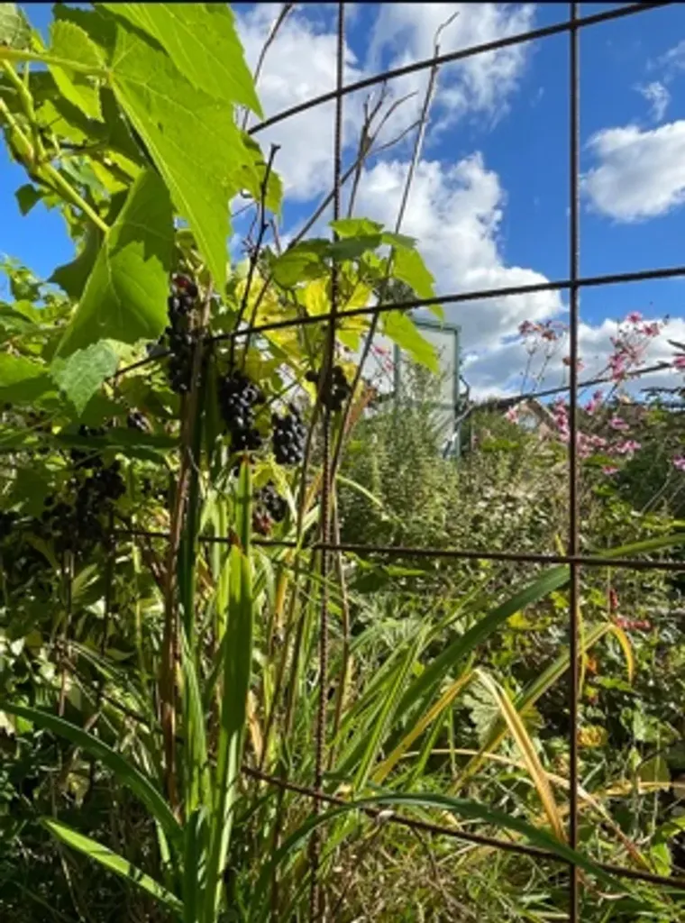Jardin - Renovated House with Garden in Vargön