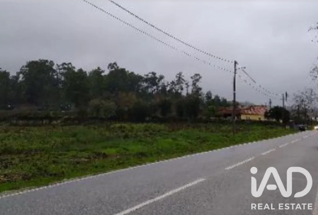 Exterior - Rural Land with Expansion Potential in Tondela